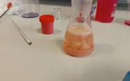 dzień chemika 