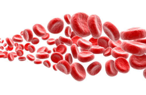 grafika z czerwonymi płytkami krwi