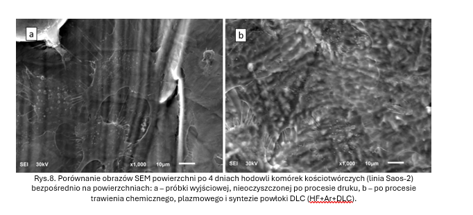 Porównanie obrazów SEM powierzchni po 4 dniach hodowli komórek kościotwórczych (linia Saos-2) bezpośrednio na powierzchniach: a – próbki wyjściowej, nieoczyszczonej po procesie druku, b – po procesie trawienia chemicznego, plazmowego i syntezie powłoki DLC (HF+Ar+DLC).