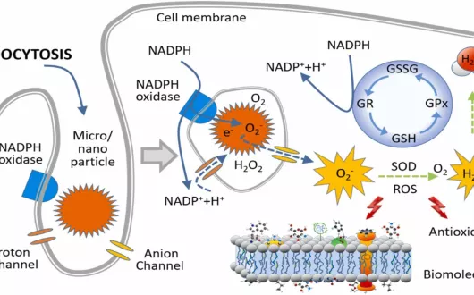 grafika do publikacji